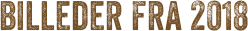Billeder fra 2018