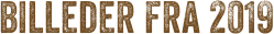 Billeder fra 2019
