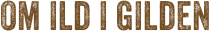 Om Ild i Gilden